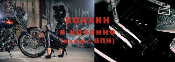гашик Тында