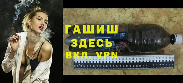гашик Тында
