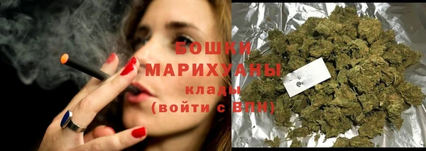 PSILOCYBIN Тутаев