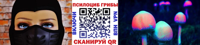 Галлюциногенные грибы прущие грибы  Купить  Зея 